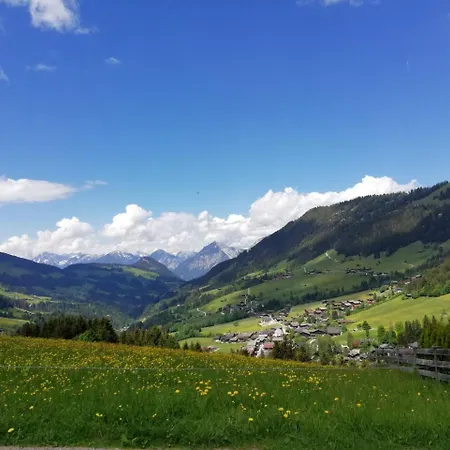 Edelweiss Guest house Breitenbach am Inn