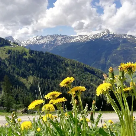 Edelweiss Pensión 3*