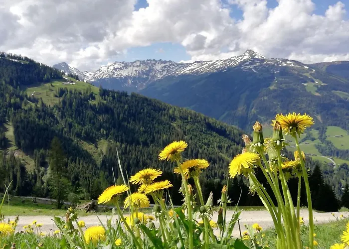 Edelweiss Penzion 3*