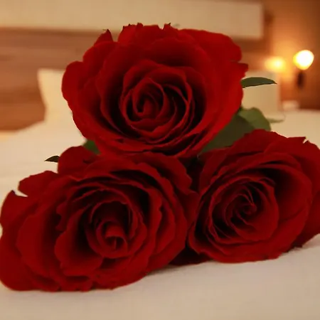 Edelweiss Breitenbach am Inn