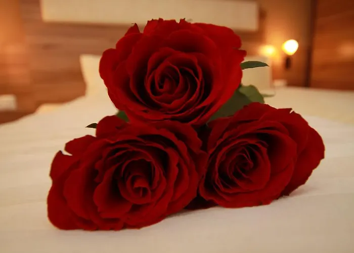 Edelweiss Breitenbach am Inn